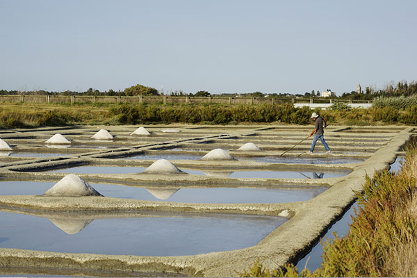 marais-sel-4-vents-noirmoutier