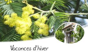 vacances_dhiver__083184600_1729_05042011__075187000_1126_10042014